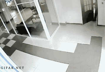 Подборка фотографий