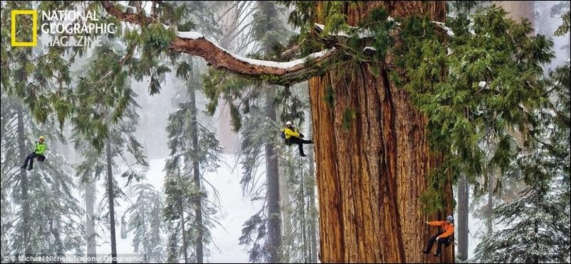 Найди четырех альпинистов