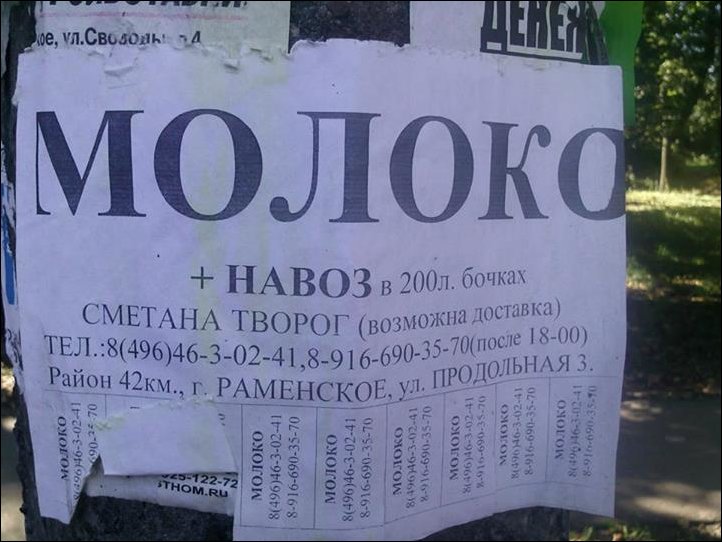Прикольные надписи и объявления
