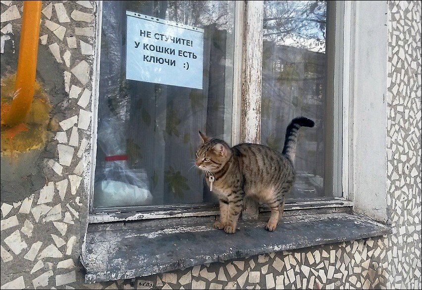 Прикольные надписи и объявления