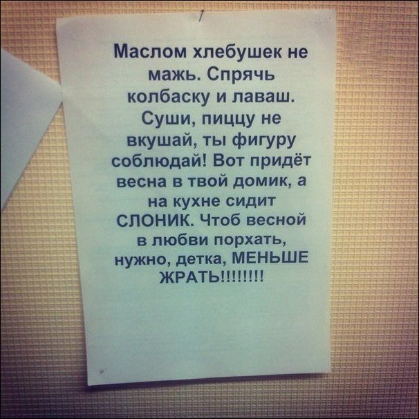 Прикольные надписи и объявления