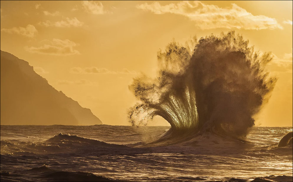 Лучшие фотографии National Geographic 2013