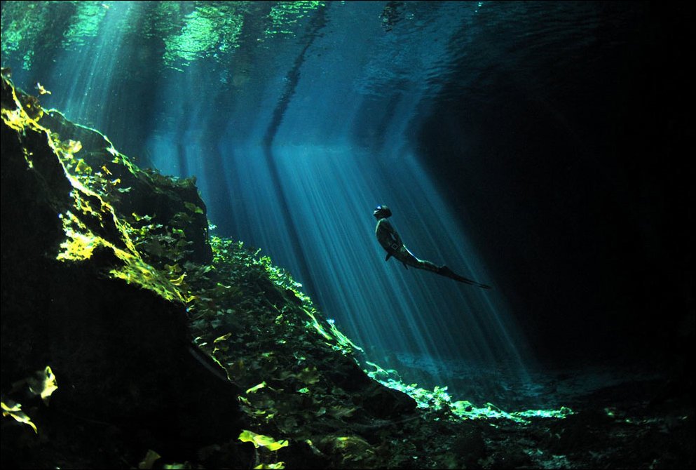 Лучшие фотографии National Geographic 2013