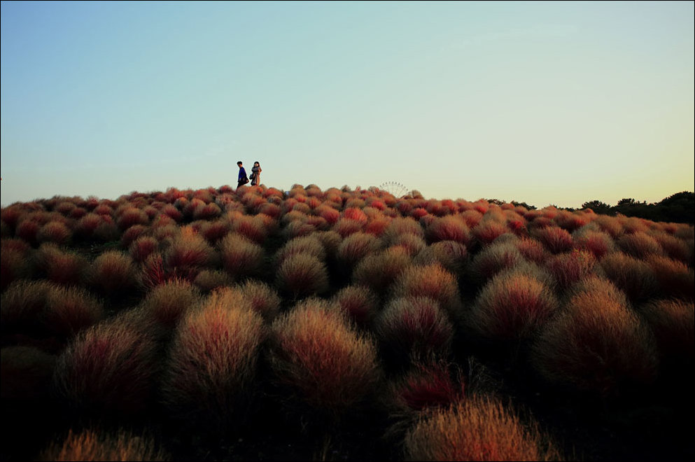 Лучшие фотографии National Geographic 2013