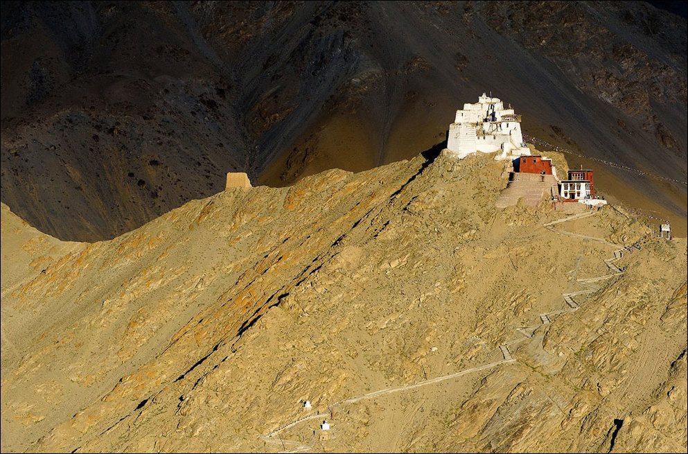 Лучшие фотографии National Geographic 2013