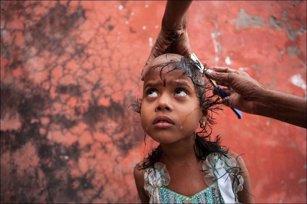 Лучшие фотографии National Geographic 2013