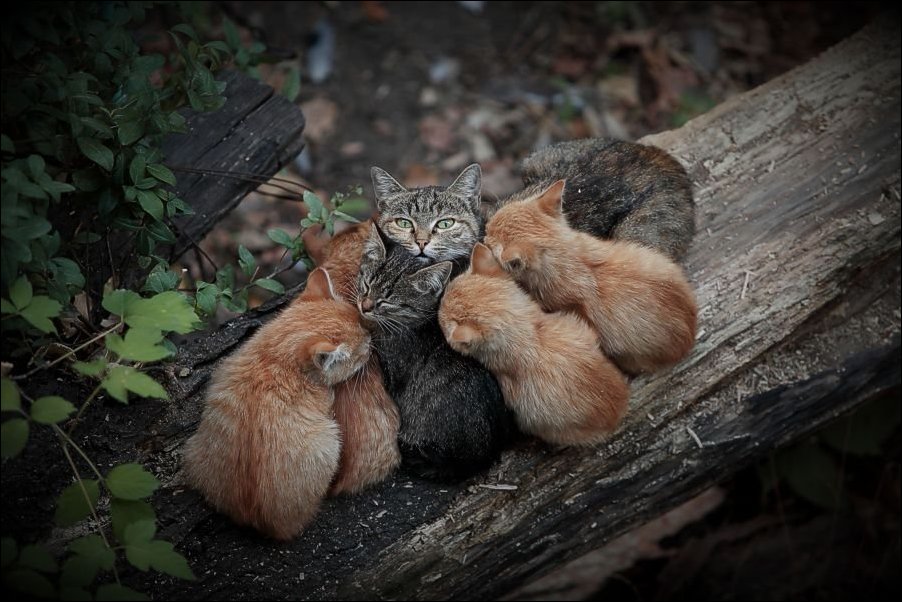 Подборка фотографий