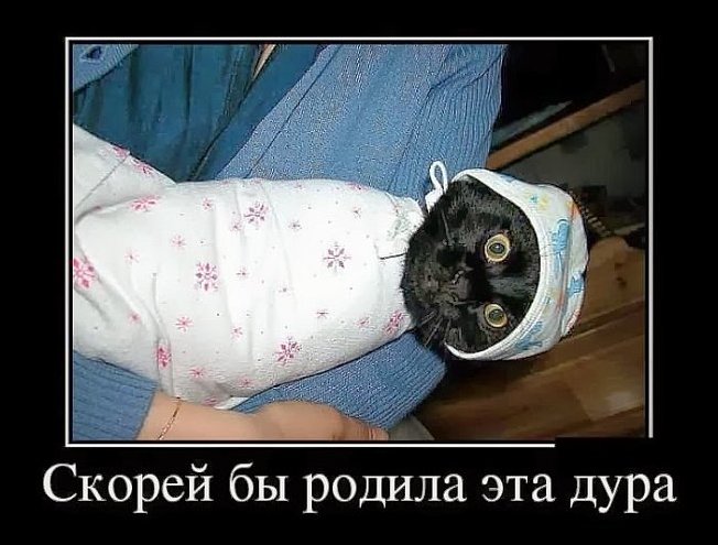 Подборка фотографий