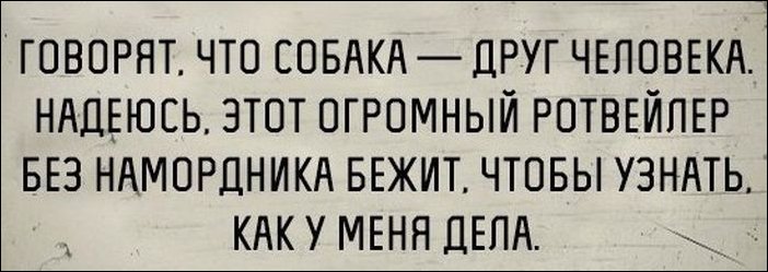 Прикольные открытки