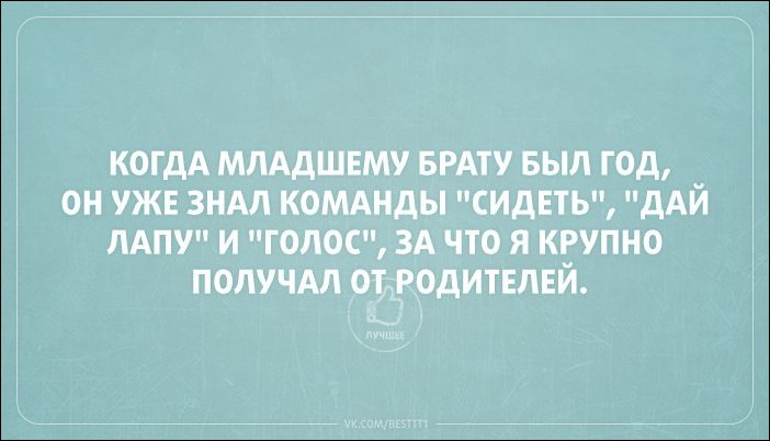 Прикольные открытки