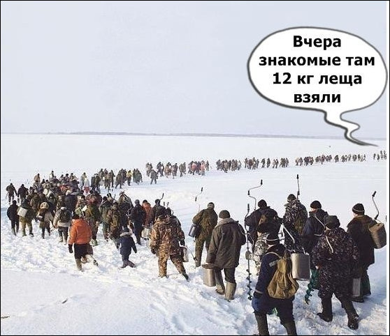 Комиксы и карикатуры