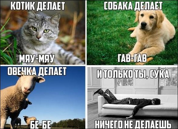 Комиксы и карикатуры