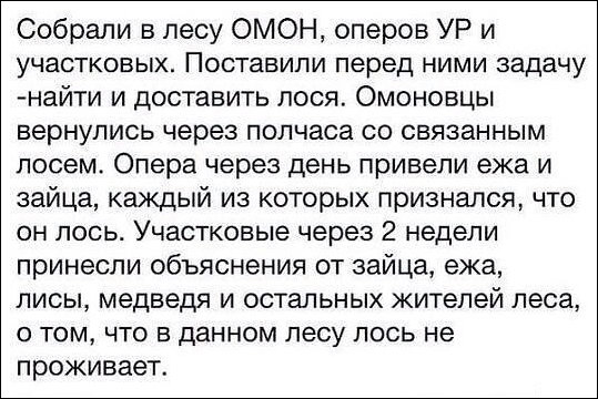 Комиксы и карикатуры