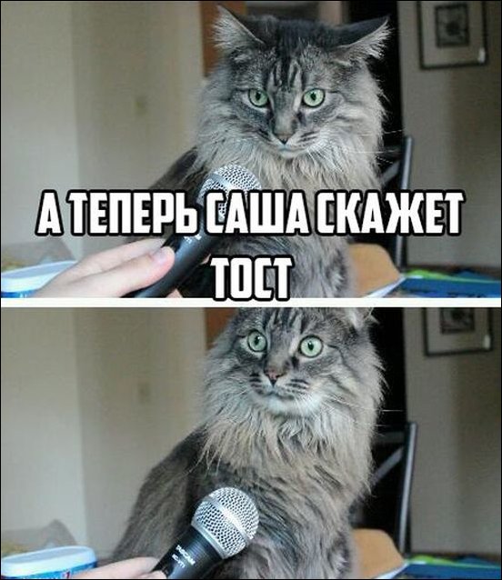 Комиксы и карикатуры