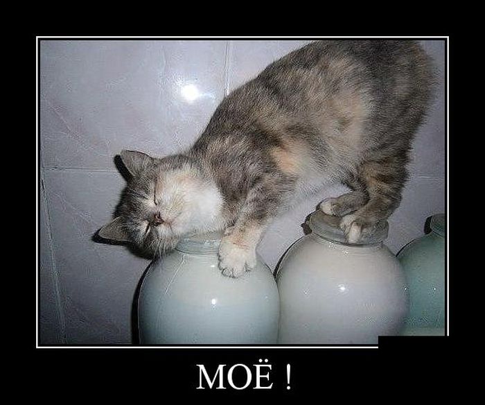 Демотиватор