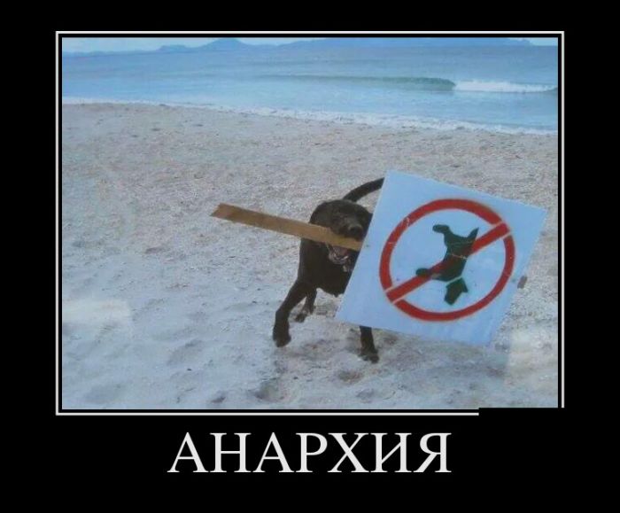 Демотиватор