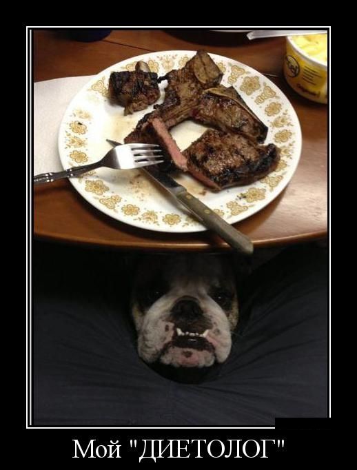 Демотиватор