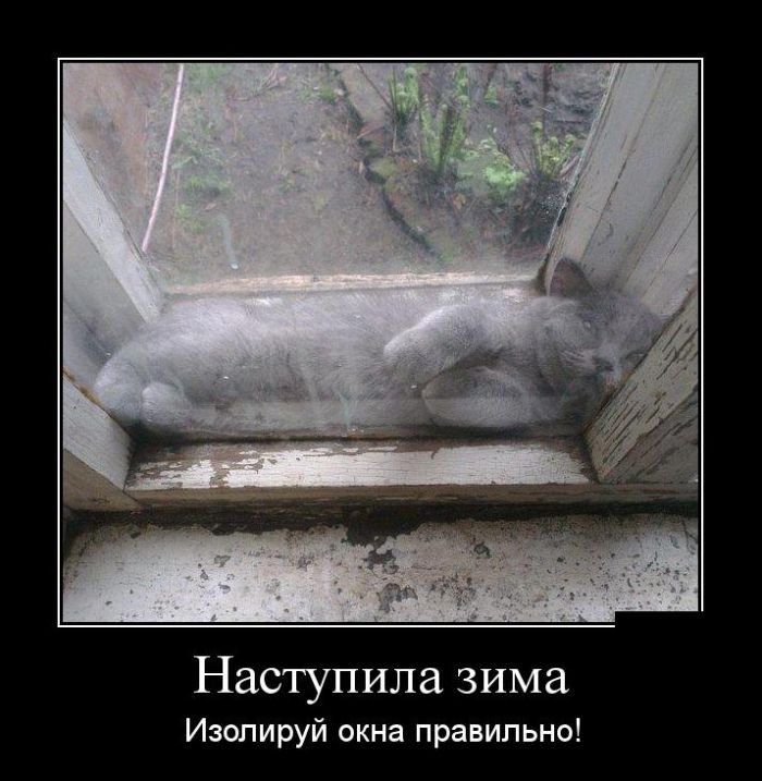 Демотиватор