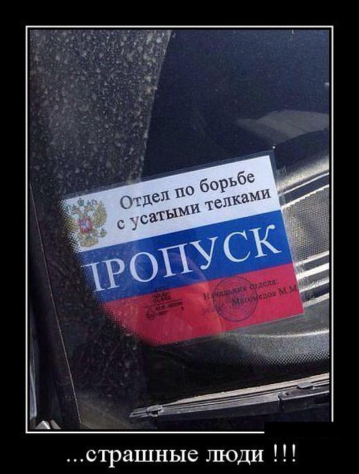 Демотиватор