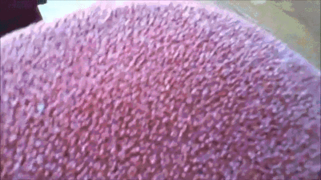 Прикольные гифки