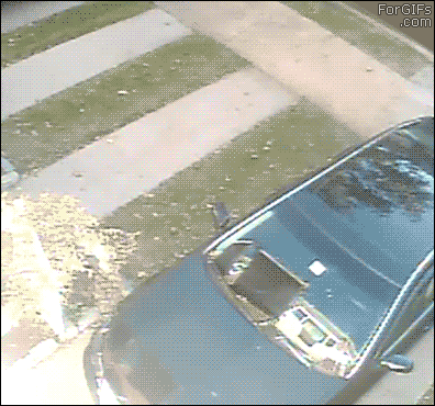 Прикольные гифки