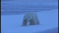 Прикольные гифки