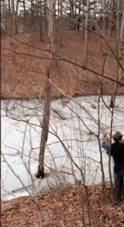 Прикольные гифки