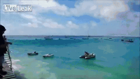 Прикольные гифки