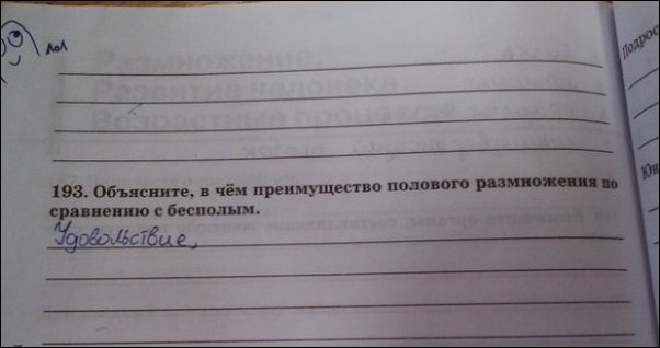 Записи в школьных тетрадях