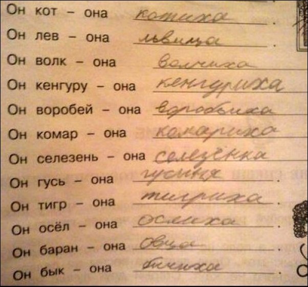 Записи в школьных тетрадях