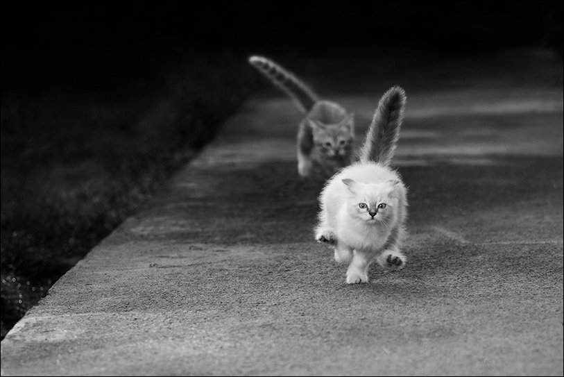 Фотоприколы