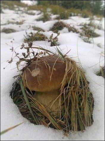 Фотоприколы