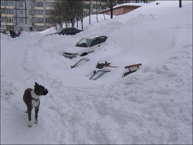 Фотоприколы