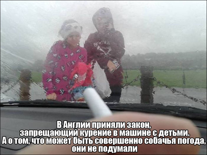 Фотоприколы