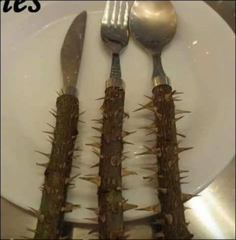 Фотоприколы