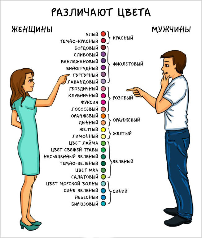 Разница между мужчиной и женщиной