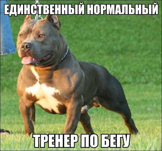 фотоприколы