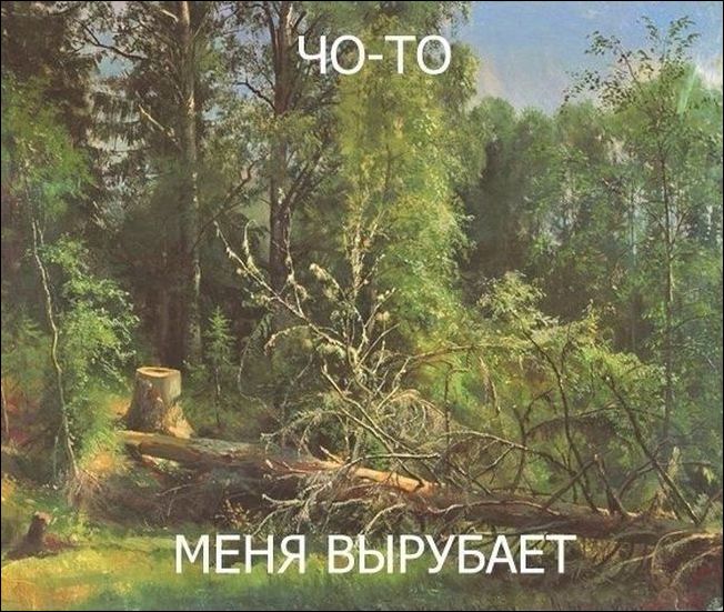 фотоприколы