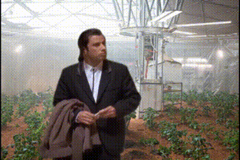 Прикольные гифки