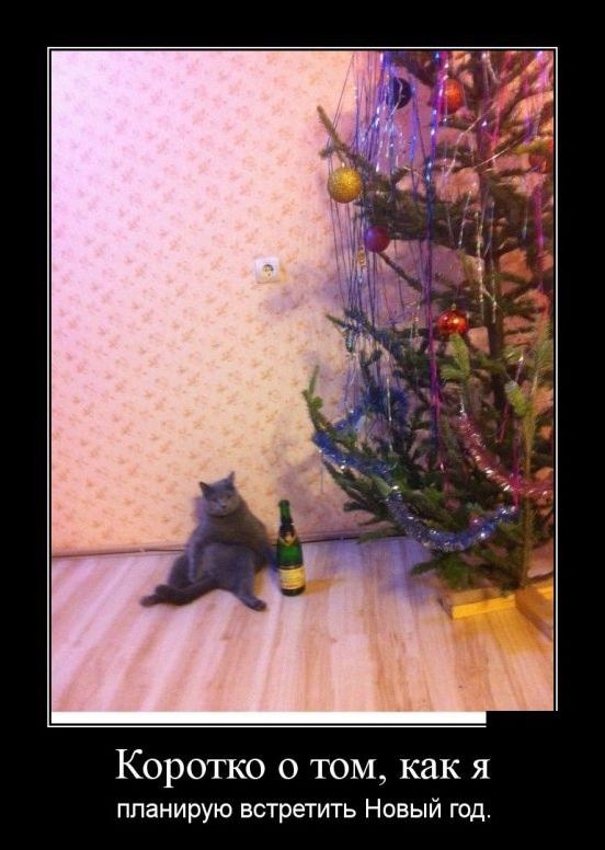 демотиватор