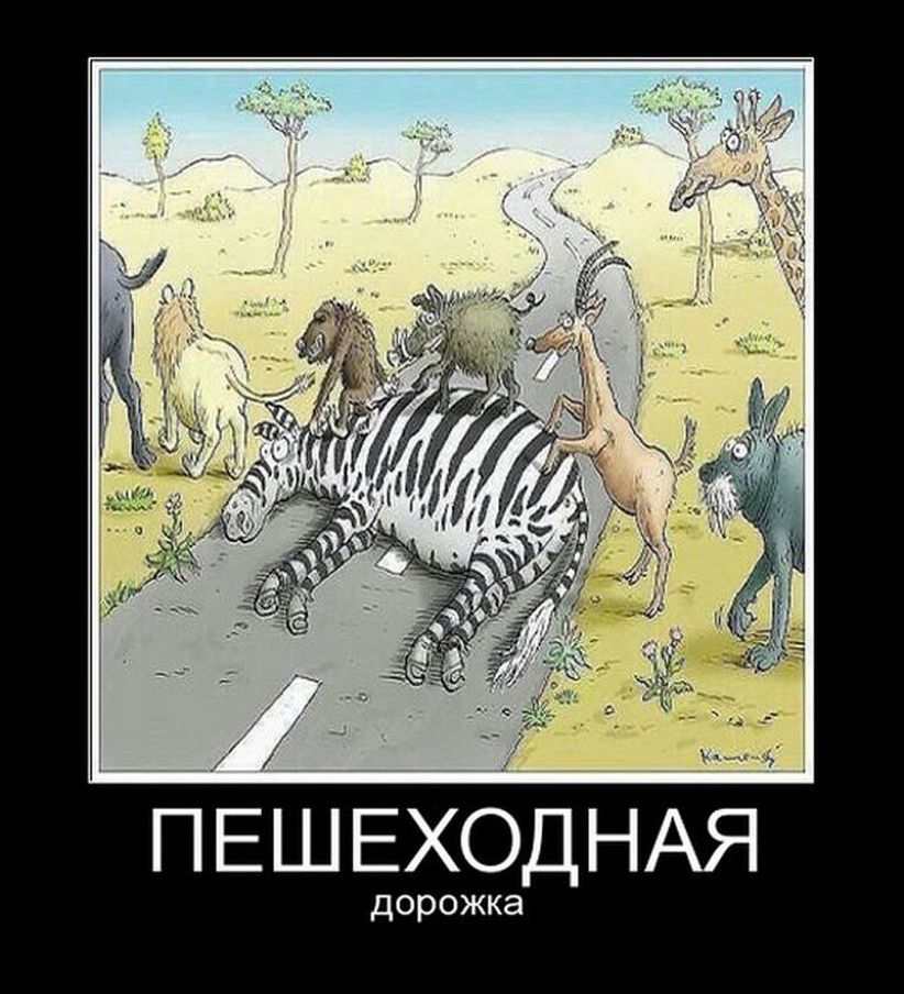 демотиватор