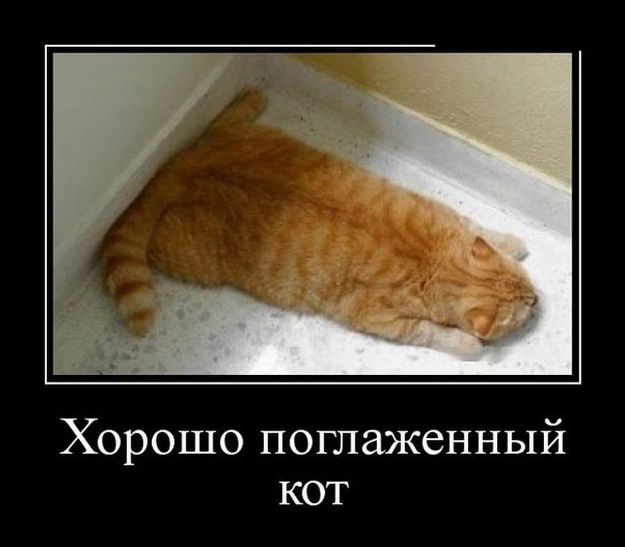 демотиватор