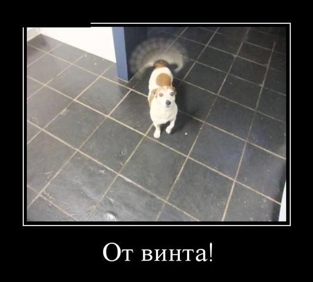 демотиватор