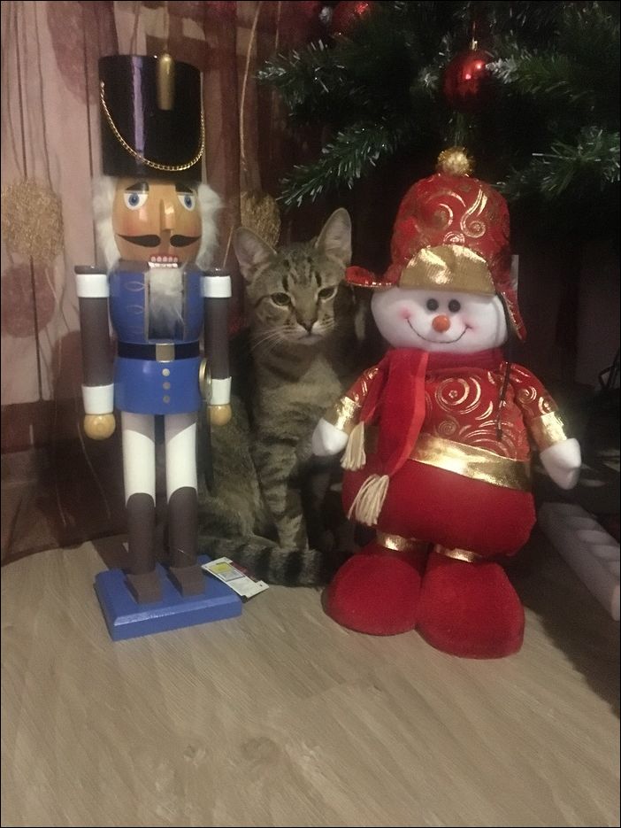 фотоприколы