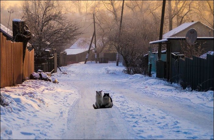 фотоприколы