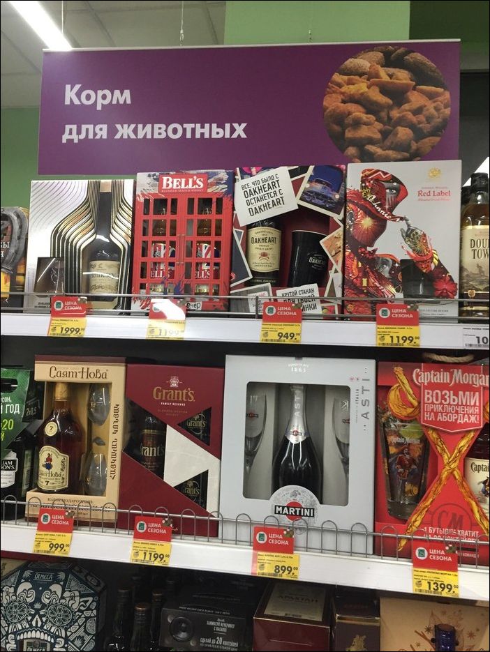 фотоприколы