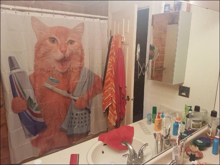 фотоприколы