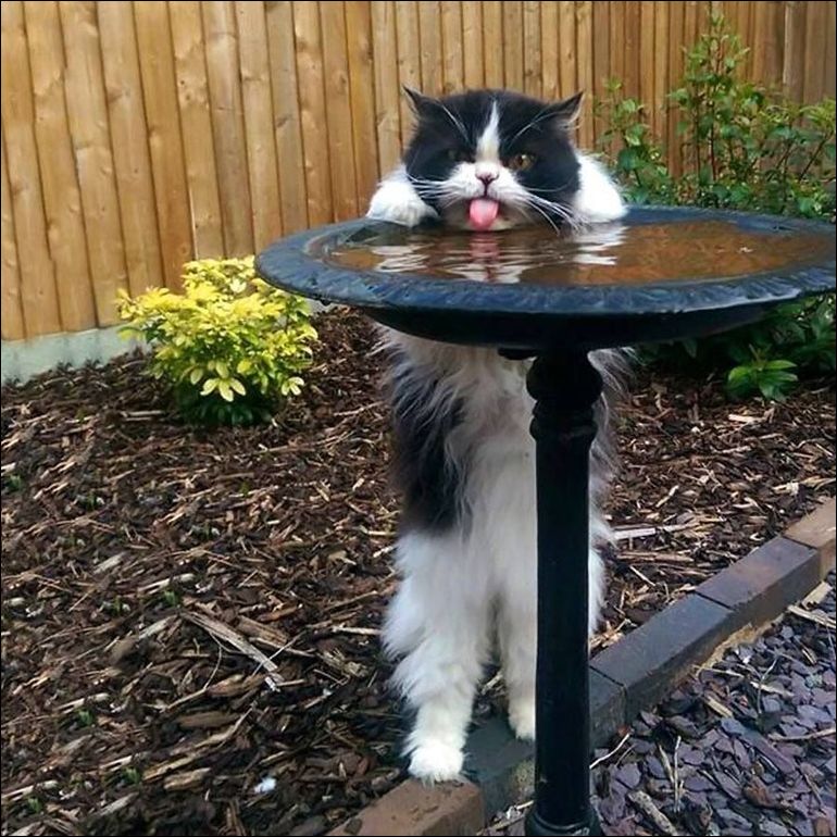 фотоприколы