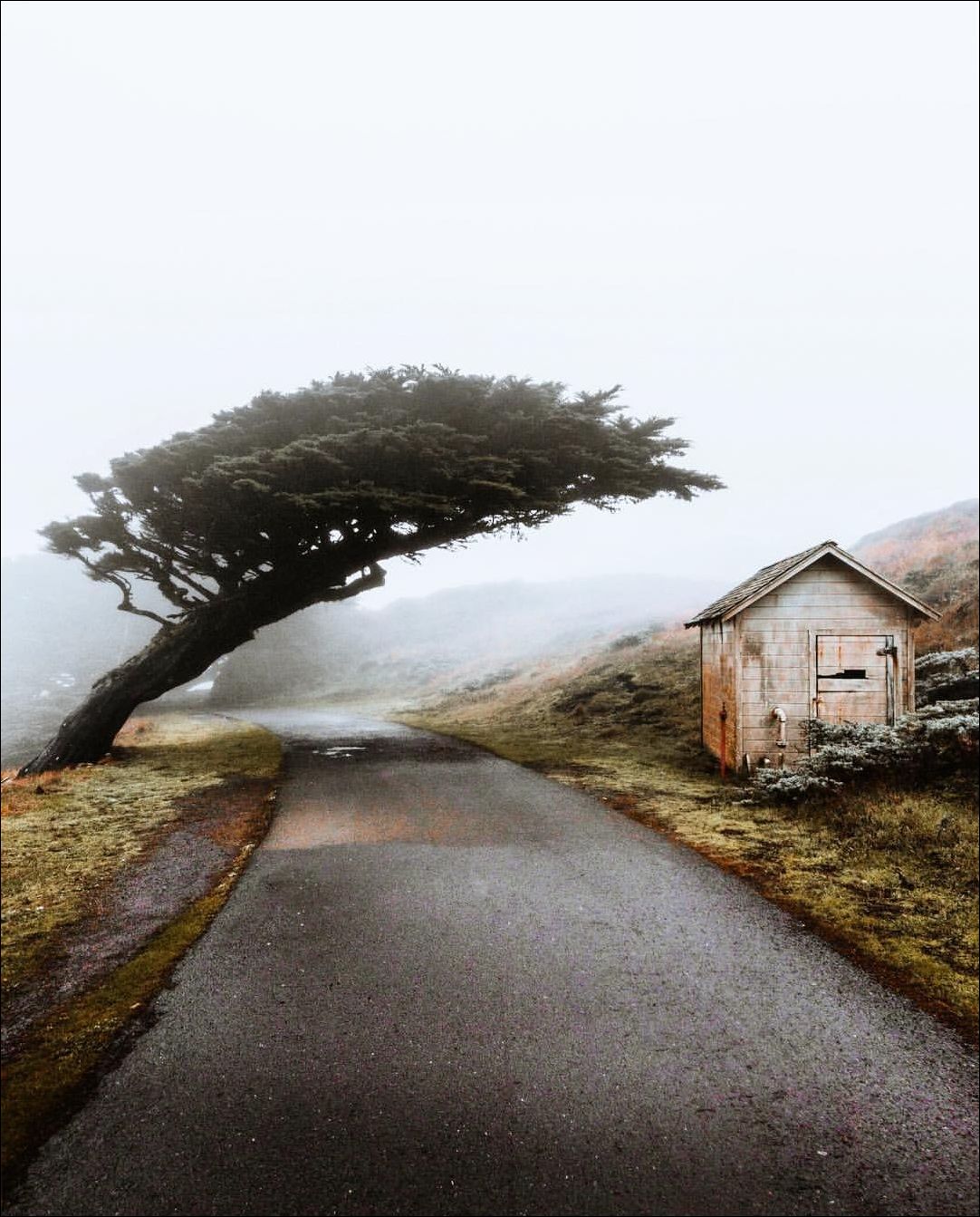 фотоприколы