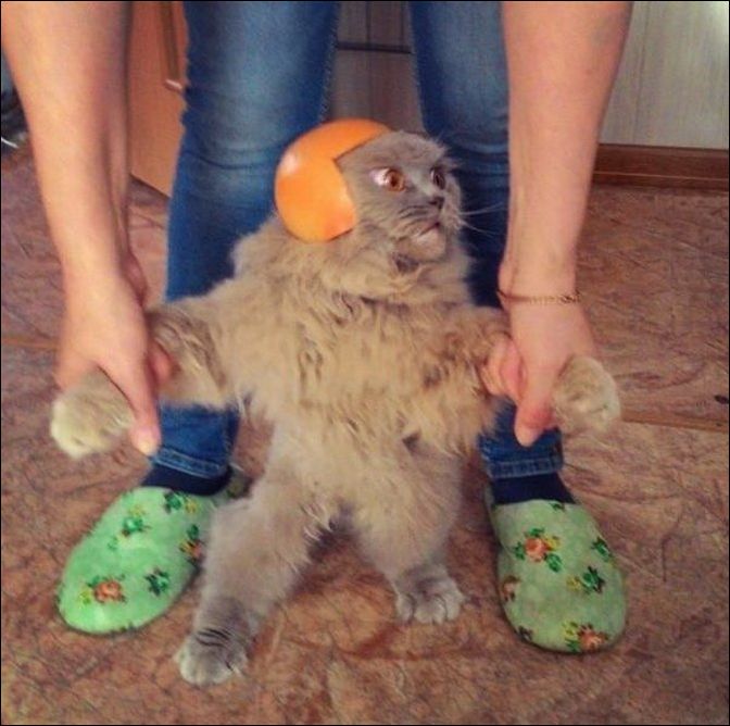 фотоприколы